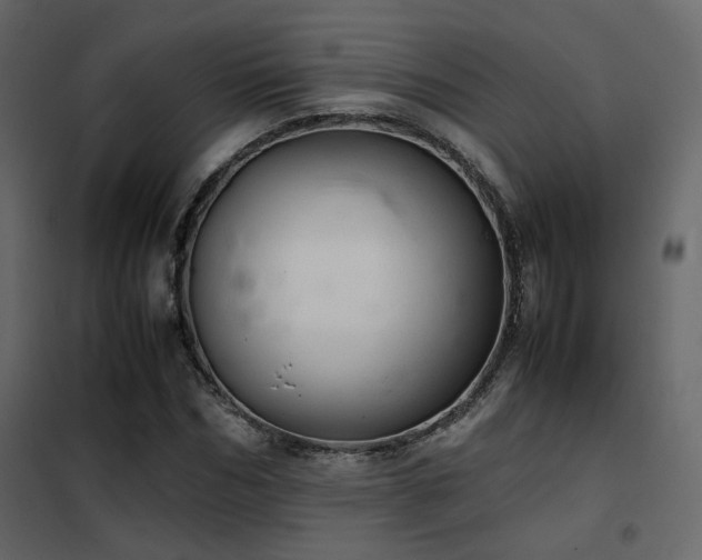 X0000102520970200808081424