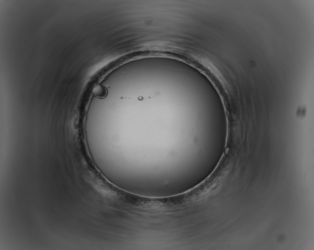 X0000102520971200808081424