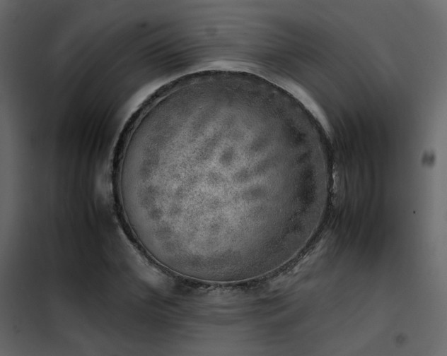 X0000102520972200808081424