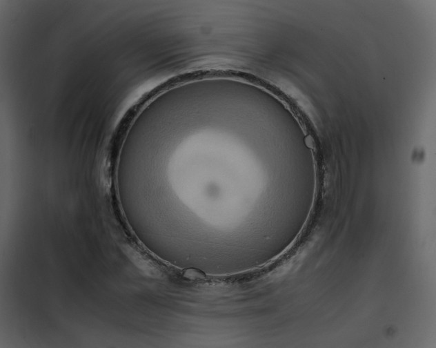 X0000102520973200808081424