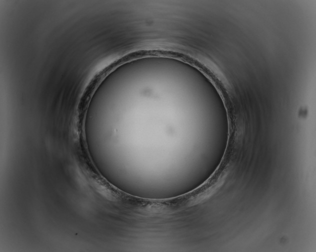 X0000102520974200808081424