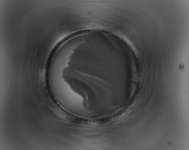 X0000102520975200808081424