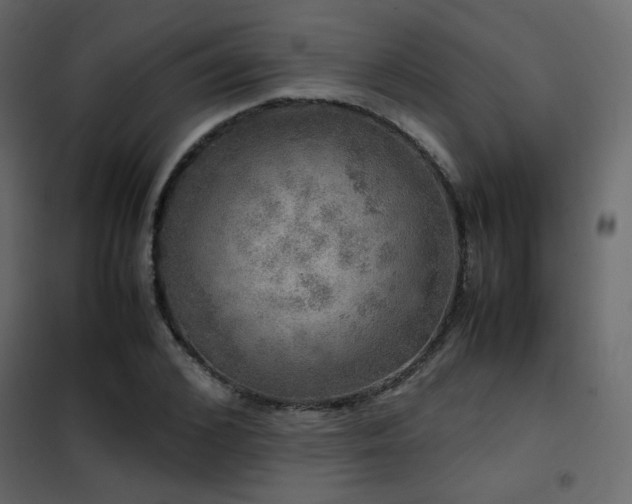 X0000102520976200808081424