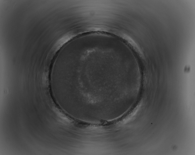 X0000102520977200808081424