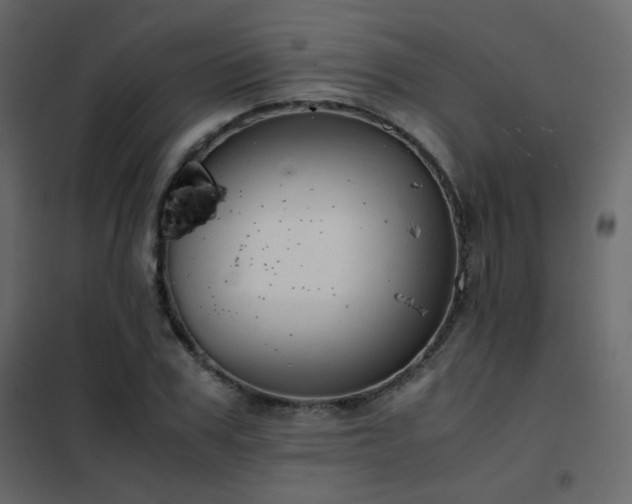 X0000102520979200808081423