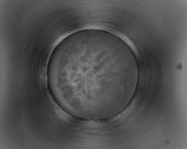 X0000102520980200808081423