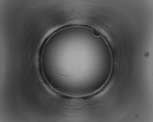 X0000102520981200808081423