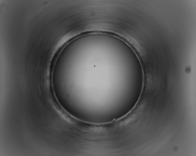 X0000102520982200808081423