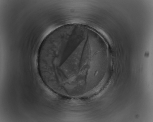 X0000102520983200808081423