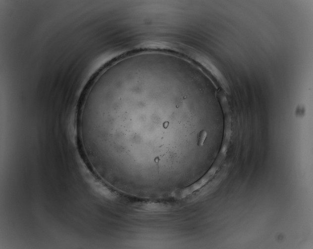 X0000102520984200808081423