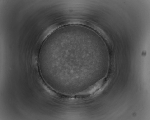 X0000102520985200808081423