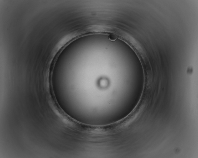 X0000102520986200808081423