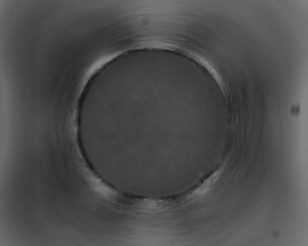 X0000102520987200808081423