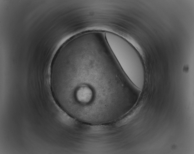 X0000102520988200808081423