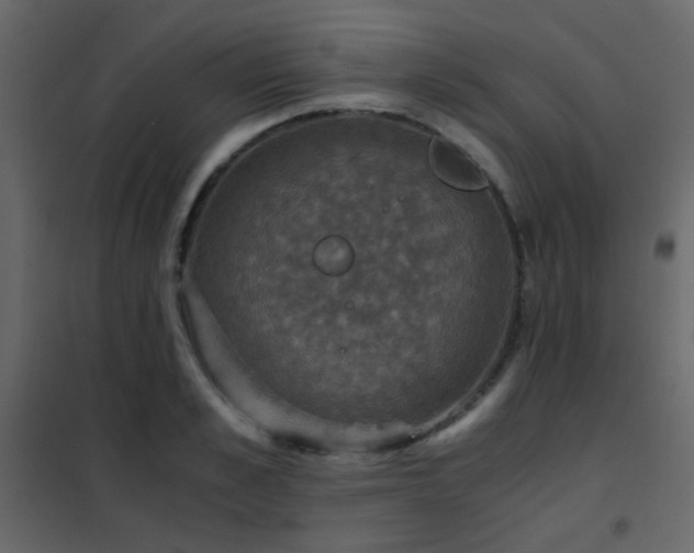 X0000102520989200808081423