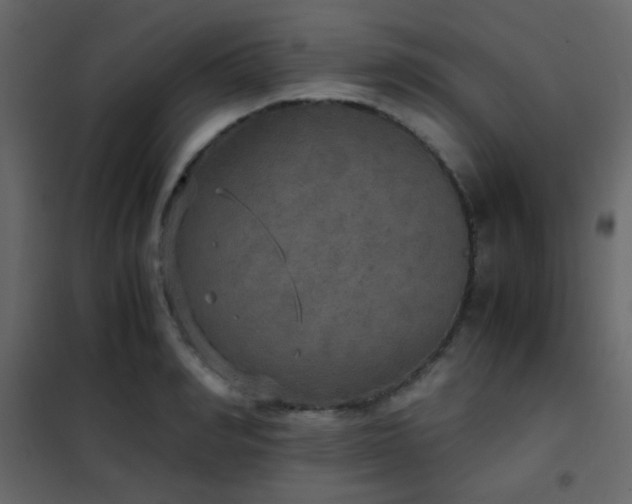 X0000102520990200808081423