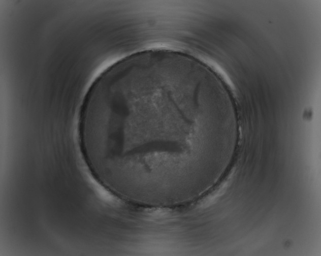 X0000102520991200808081423