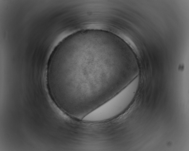 X0000102520992200808081423