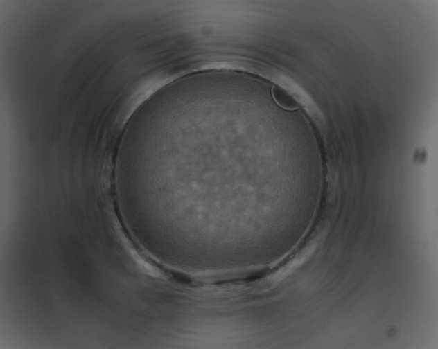 X0000102520993200808081423