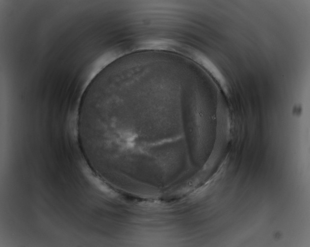 X0000102520994200808081423