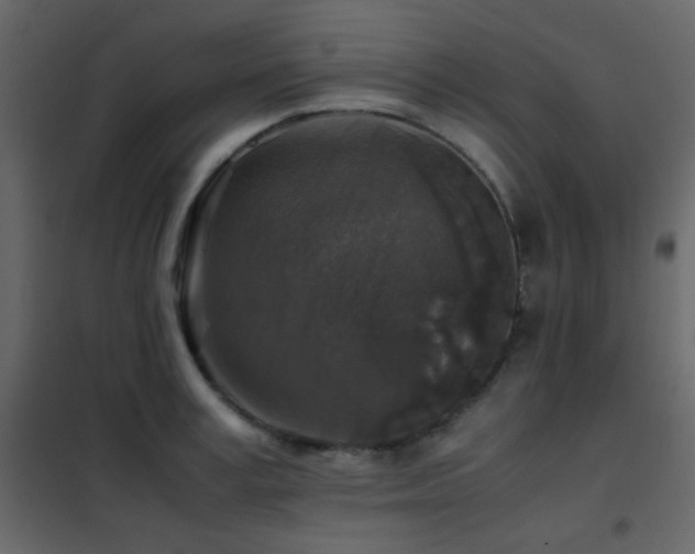 X0000102520995200808081423