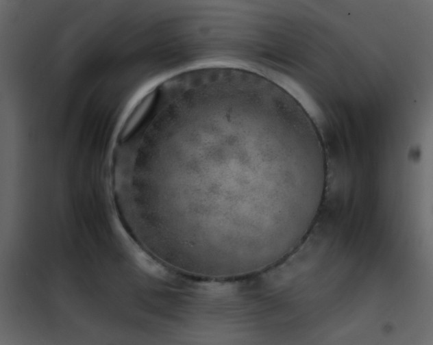 X0000102520996200808081423