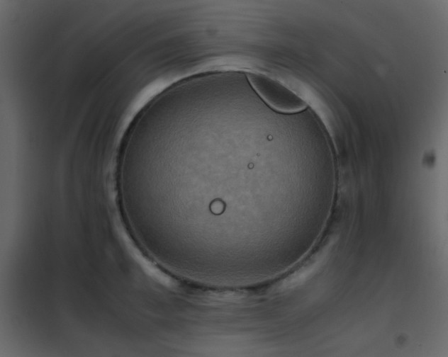 X0000102520997200808081423