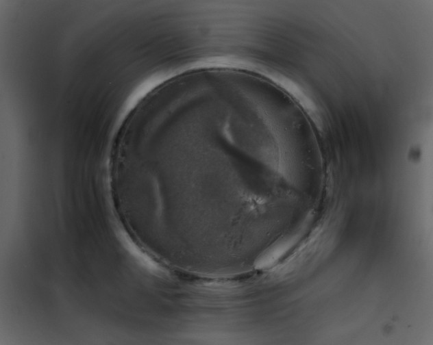 X0000102520998200808081423