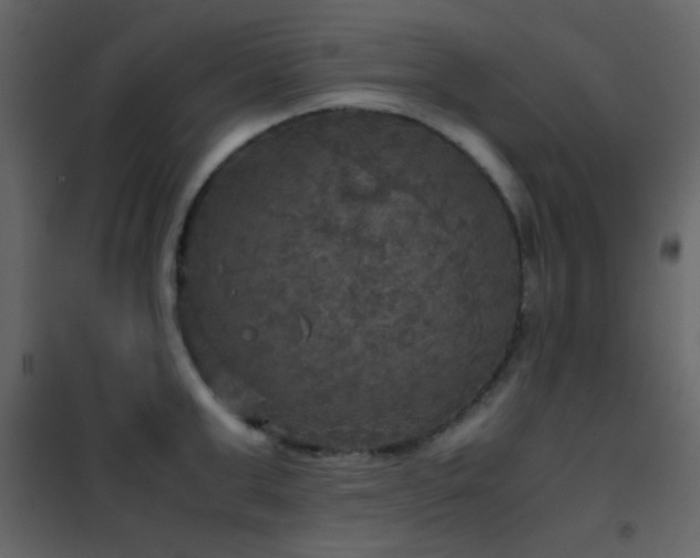 X0000102520999200808081423