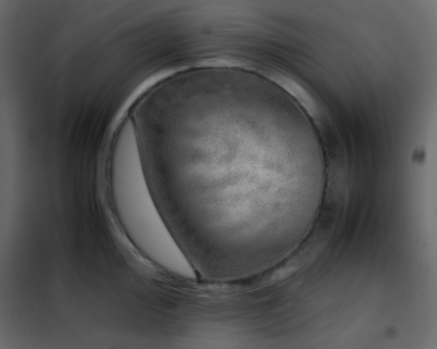 X0000102521000200808081423