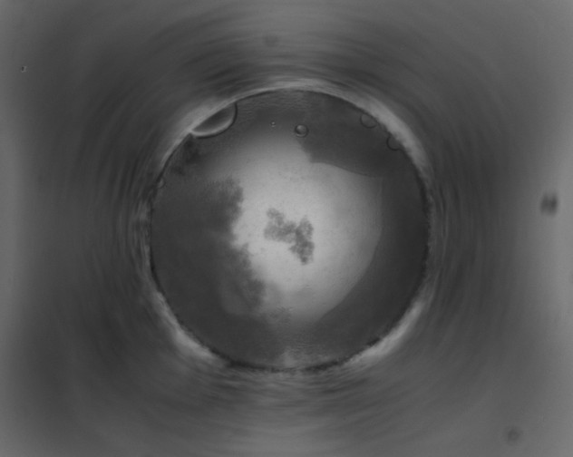 X0000102521001200808081423