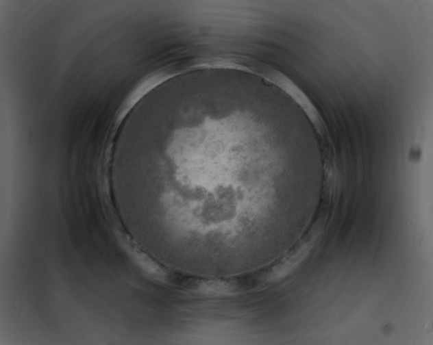 X0000102521002200808081423