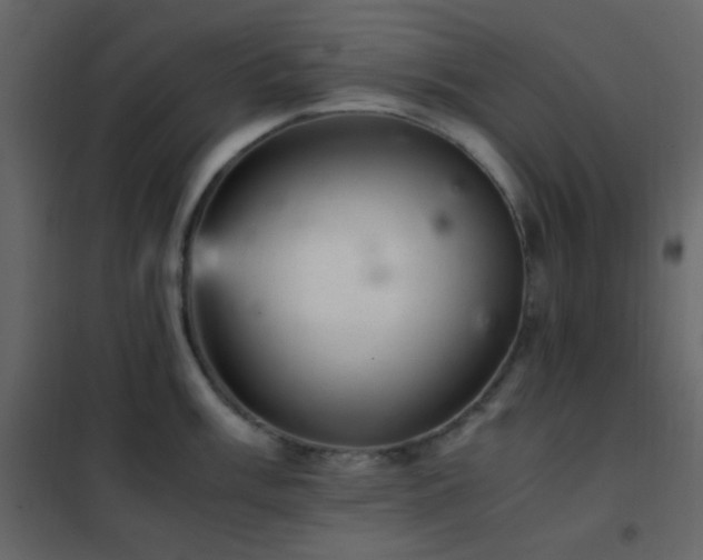 X0000102521003200808081423