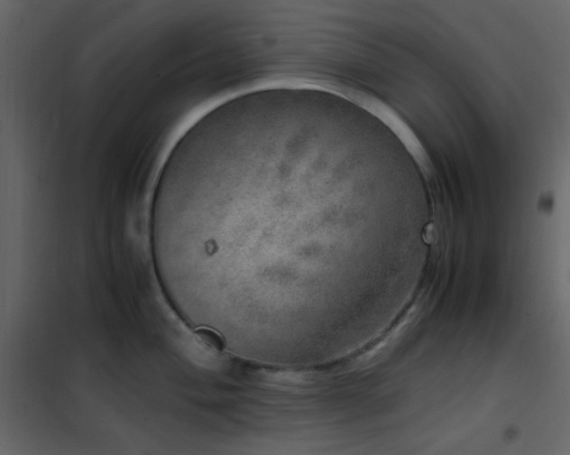 X0000102521004200808081423