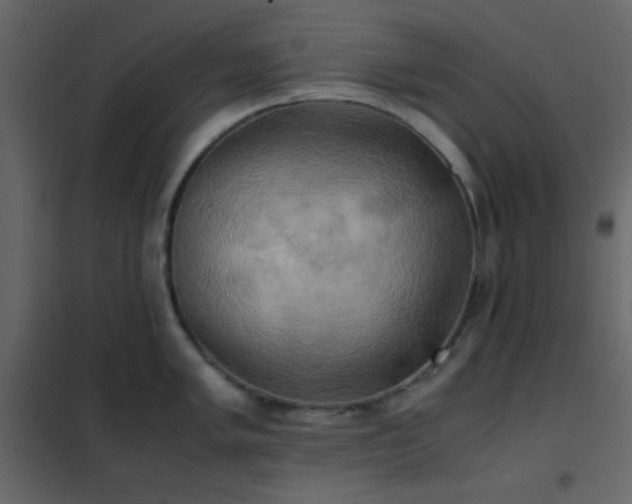 X0000102521005200808081423