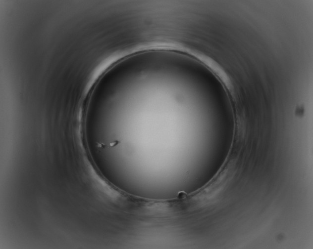 X0000102521006200808081423