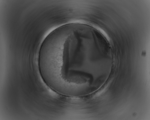 X0000102521007200808081423