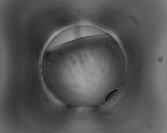 X0000102521008200808081423