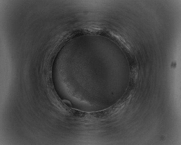 X0000102521009200808081422