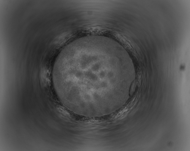 X0000102521010200808081422