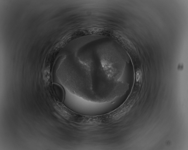 X0000102521011200808081422