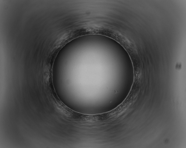 X0000102521012200808081422