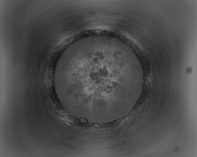 X0000102521014200808081422