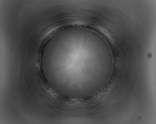 X0000102521015200808081423