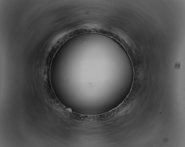 X0000102521016200808081423