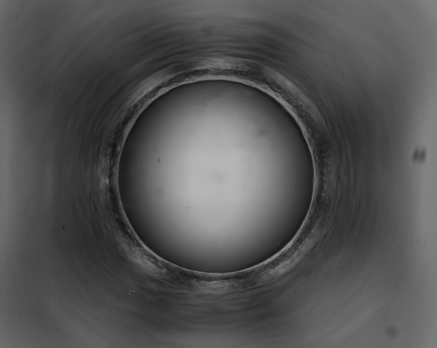 X0000102521017200808081423