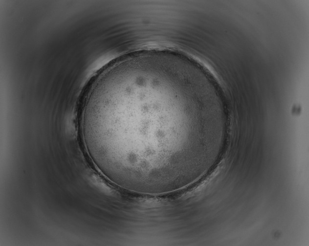 X0000102521018200808081423