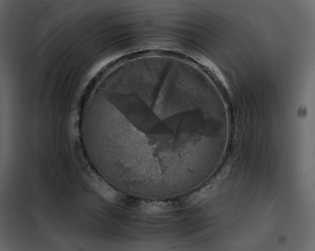 X0000102521019200808081423