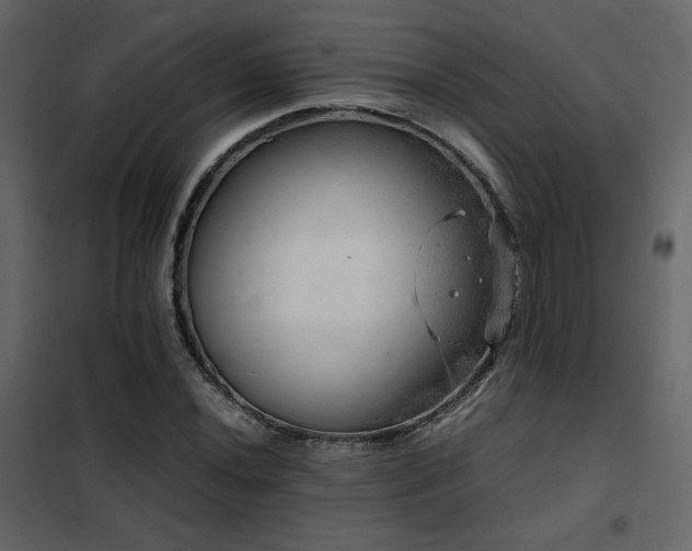 X0000102521020200808081423