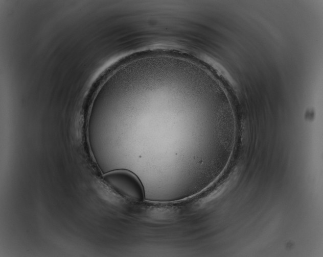 X0000102521021200808081423